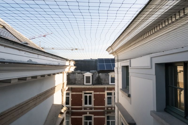 Commercial Bird Removal