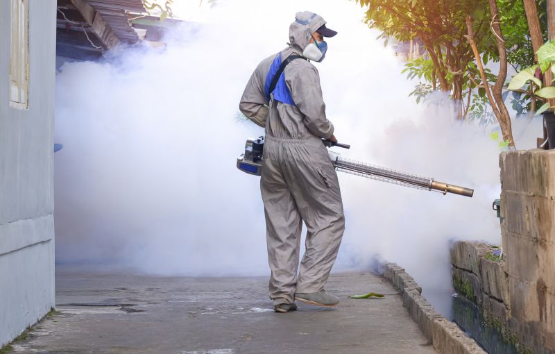 Fly Pest Control in Katy, TX