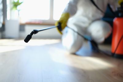 Pest Fumigation Service in Fort Collins, CO