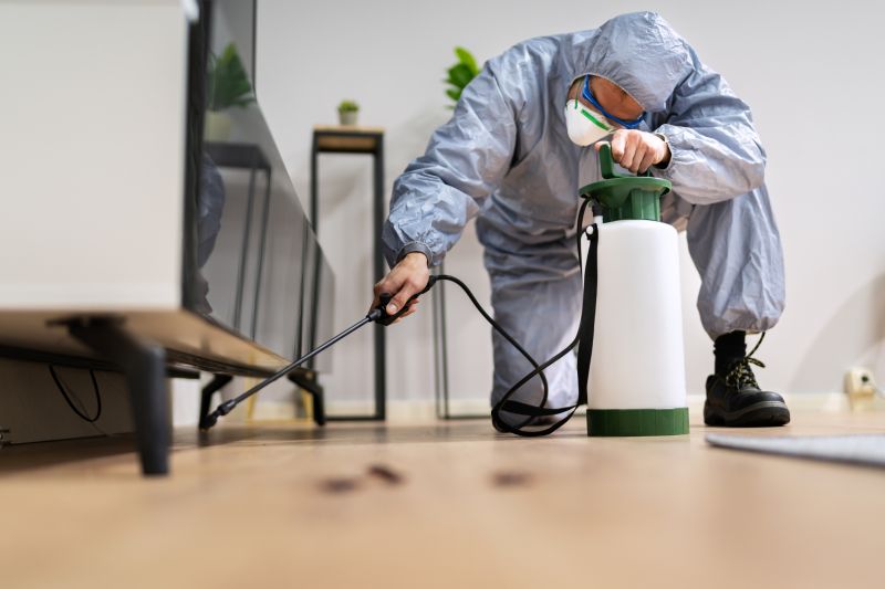 Spider Fumigation Service in Fayetteville, NC