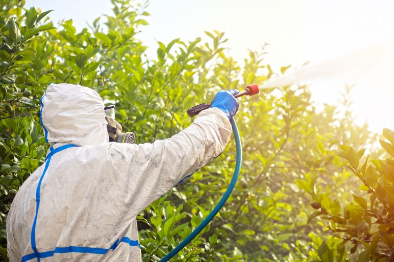 Spider Fumigation Service in Fredericksburg, VA