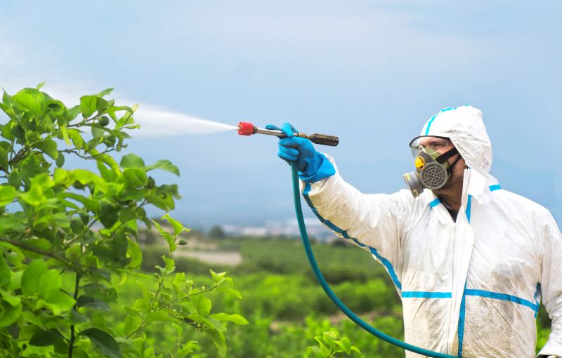Spider Fumigation Service in Madison, WI