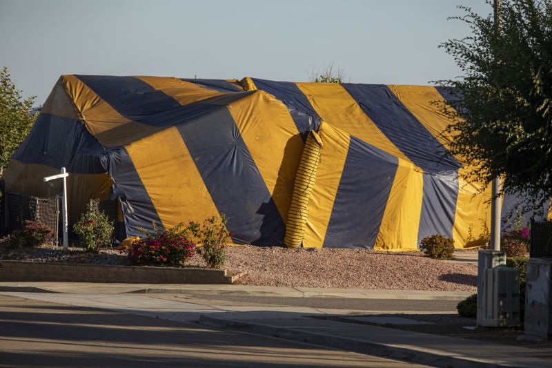 Termite Tenting in Fort Collins, CO