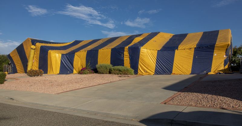 Termite Tenting in Wilmington, NC