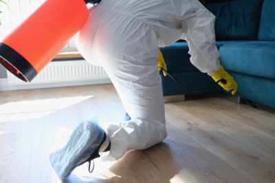 Roach Fumigation in Fayetteville, NC